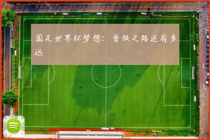 国足世界杯梦想：晋级之路还有多远